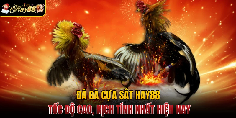 Đá Gà Cựa Sắt Hay88 Tốc Độ Cao, Kịch Tính Nhất Hiện Nay