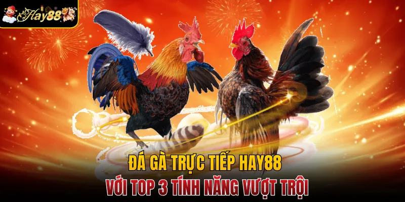 Đá Gà Trực Tiếp Hay88 Với Top 3 Tính Năng Vượt Trội