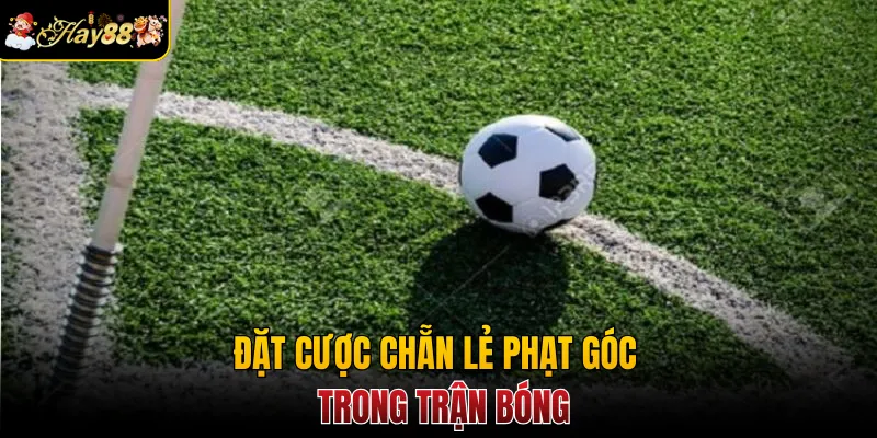 Đặt cược chẵn lẻ phạt góc trong trận bóng