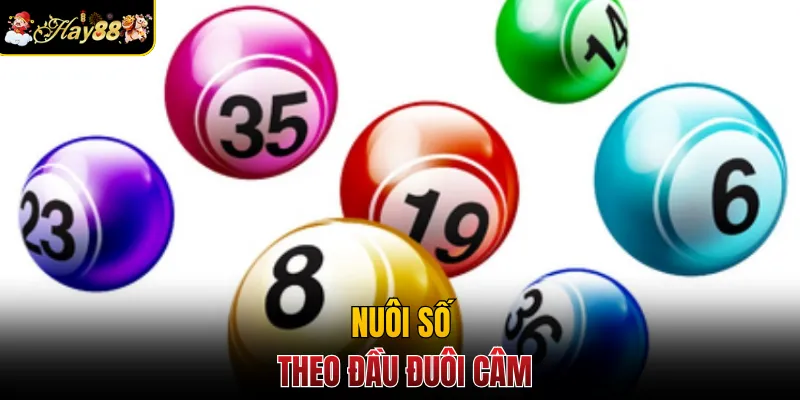Nuôi số theo đầu đuôi câm