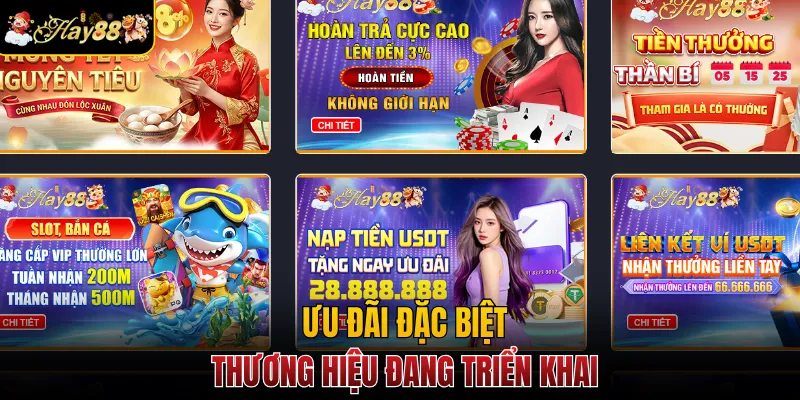 Ưu đãi đặc biệt thương hiệu đang triển khai